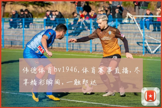 伟德体育bv1946,体育赛事直播,尽享精彩瞬间,一触即达
