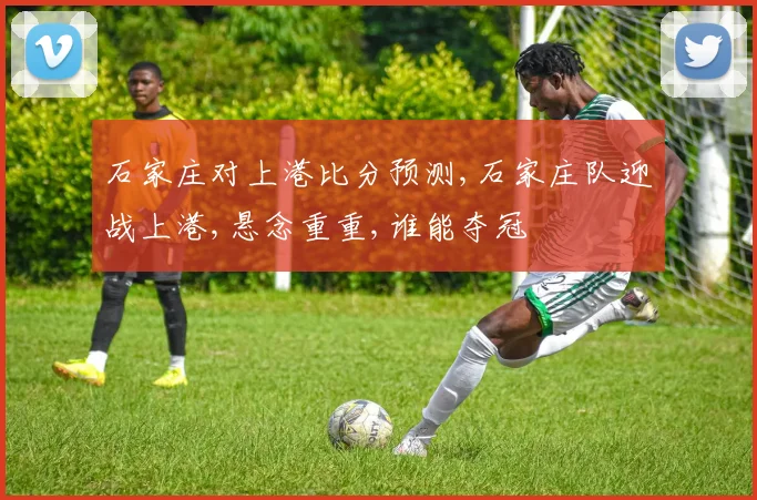 石家庄对上港比分预测,石家庄队迎战上港,悬念重重,谁能夺冠